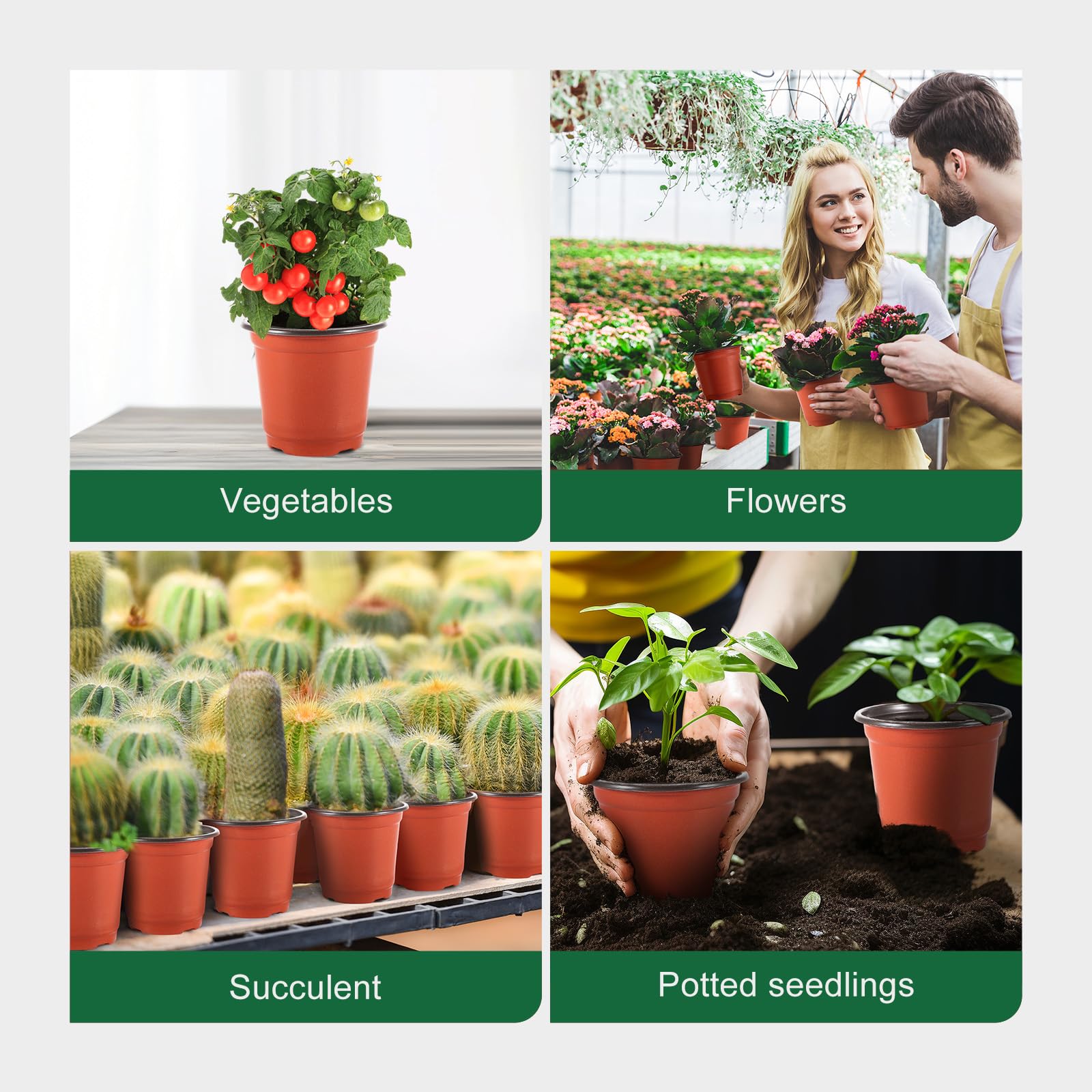 GROWNEER 4 Inch Plastic Plant Pots for Seedlings - 60 Pcs Nursery Pots with 15 Plant Labels - Small Flower Seed Starter Containers for Indoor Outdoor Gardening, Transplanting, Herbs, Succulents & Houseplants