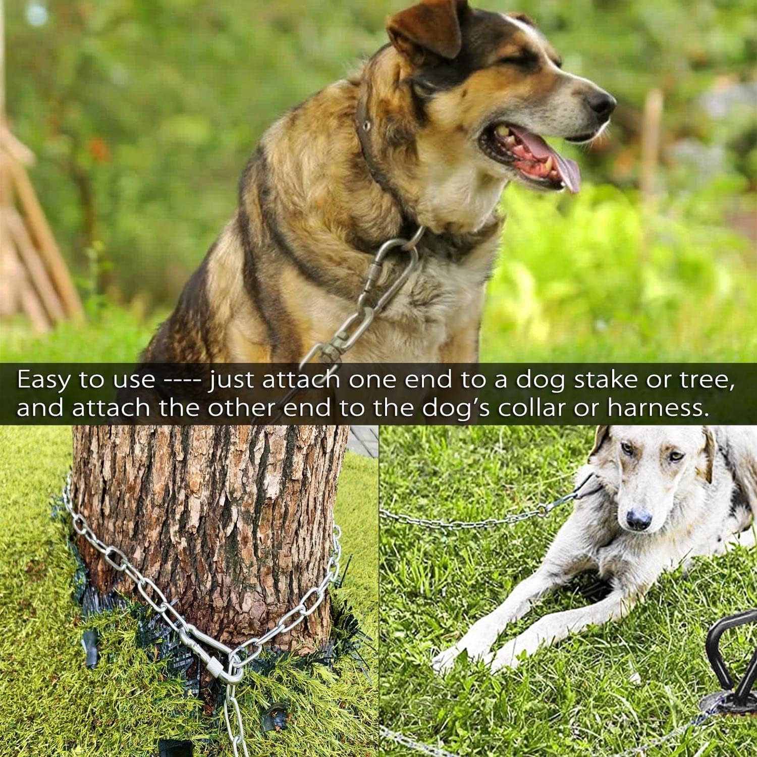 25 ft Heavy Duty Chew Proof Dog Tie Out Chain - Durable Long Dog Leash for Yard, Camping, Travel & Outdoor Activities (25ft Without Spring, Strong Metal Leash for Large Dogs)