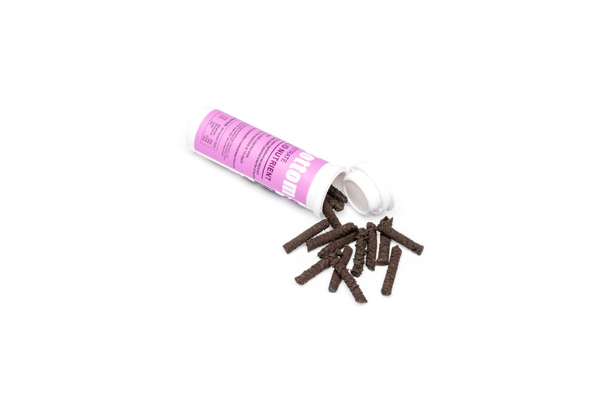 Dr. Tank Trace Nutrient Sticks - Premium Aquarium Plant Fertilizer for Healthy Growth | Ideal for Freshwater Tanks, Planted Aquariums & Aquatic Gardens