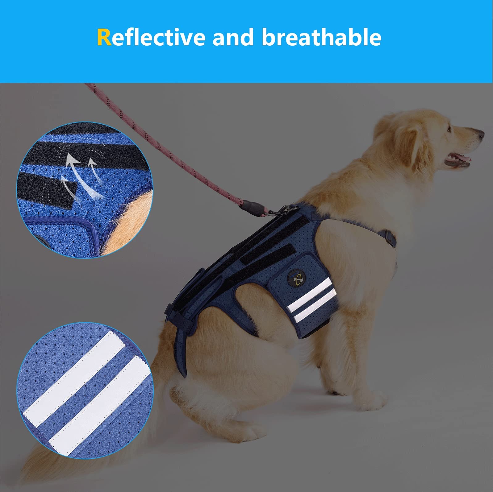 Coodeo Dog Back Brace for Arthritis & IVDD - Pain Relief, Surgical Recovery & Rehabilitation Support - Small Size for Pet Back Protection - Ideal for Post-Surgery Care & Mobility Support