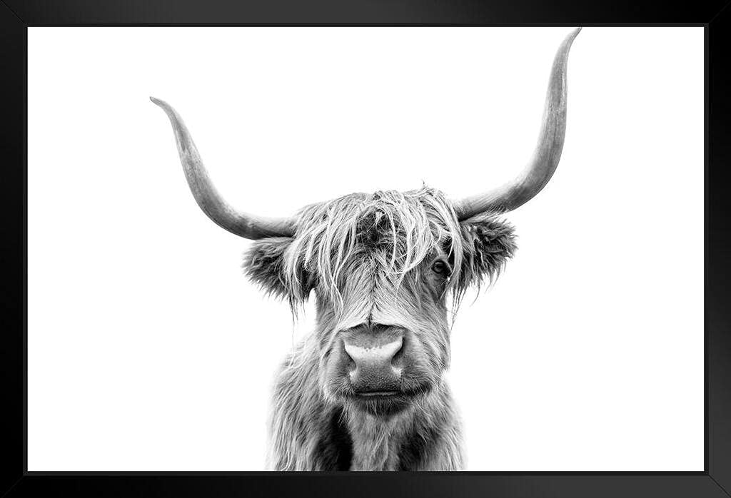 Highland Cow Wall Art Decor - Black Wood Framed Picture 14x20 - Rustic Farmhouse Wall Decor for Living Room, Bedroom & Office