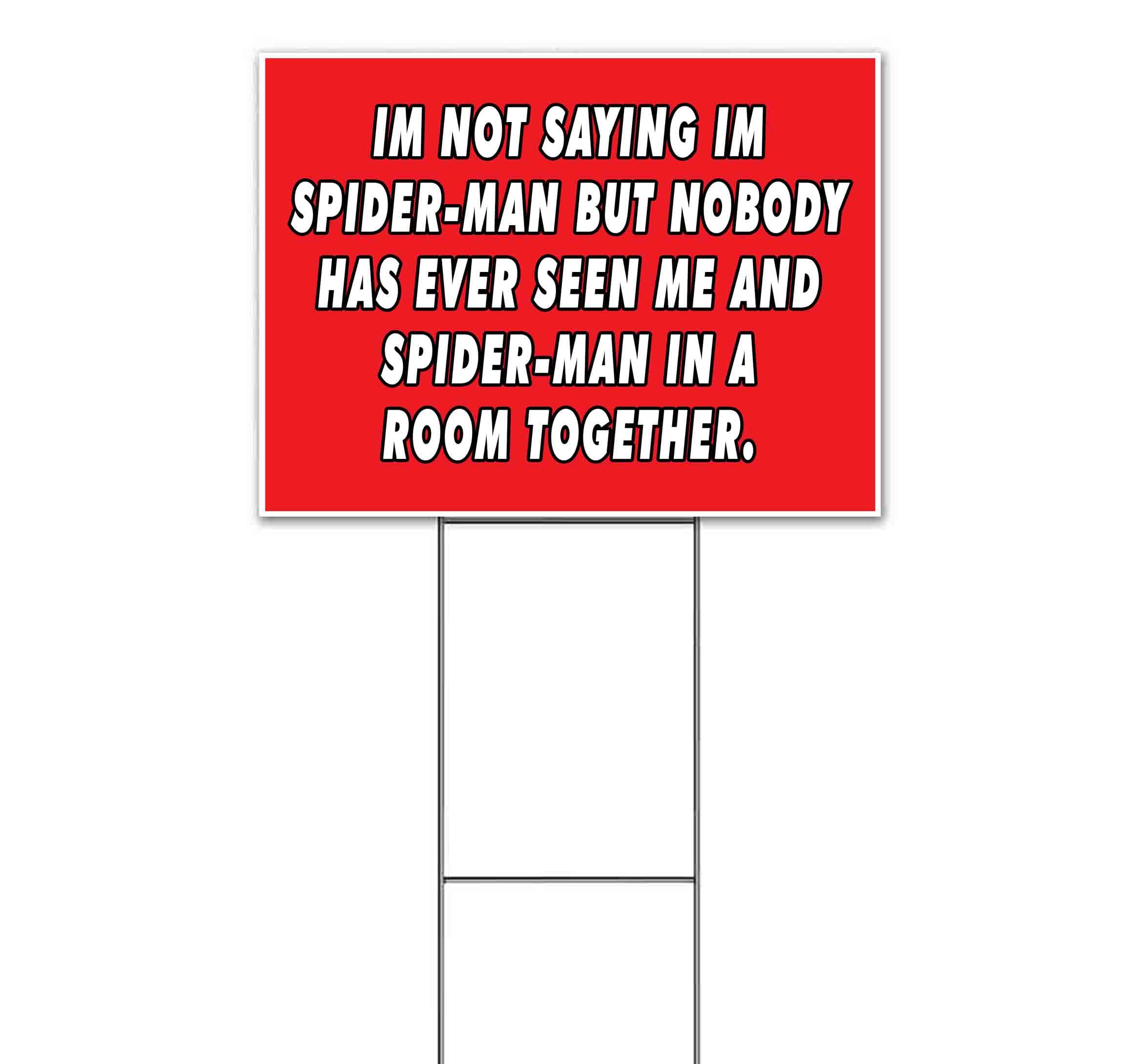 Spider-Man Inspired 18