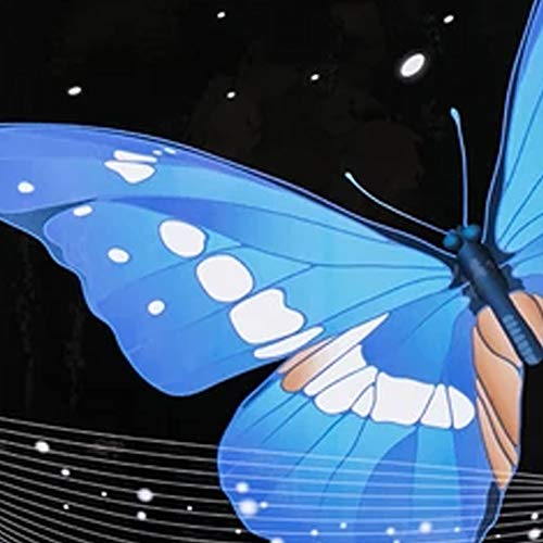 Black Butterfly