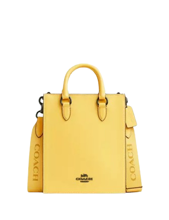 Coach Dylan Tote Bag for Women - Genuine Leather Designer Handbag with Shoulder Strap - Perfect for Work, Travel & Everyday Use