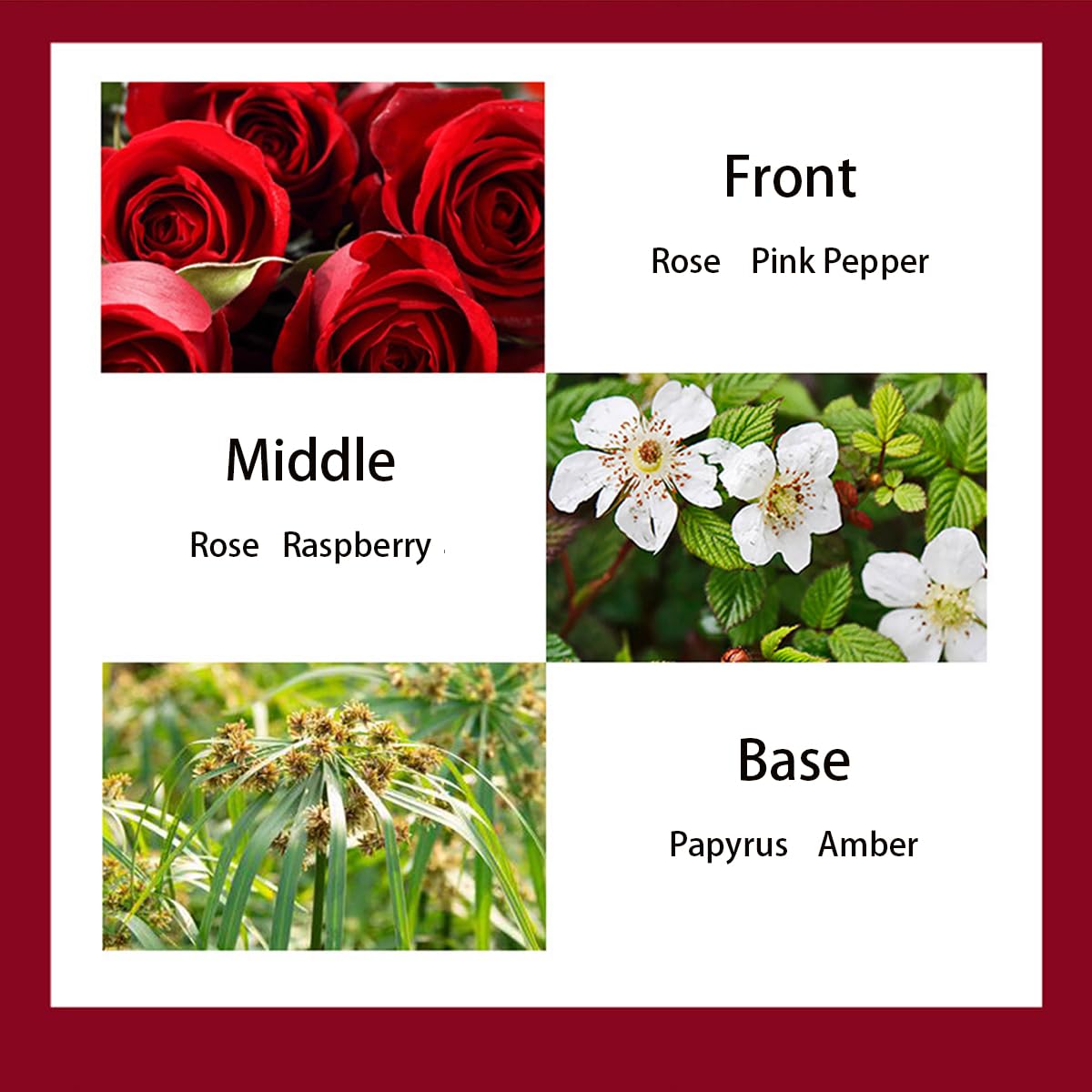 Women's Rose Pattern Perfume - Floral Amber Vanilla Eau de Parfum, 1.7 FL OZ (100ml) - Romantic Rose Pink Fragrance for Date Night & Special Occasions
