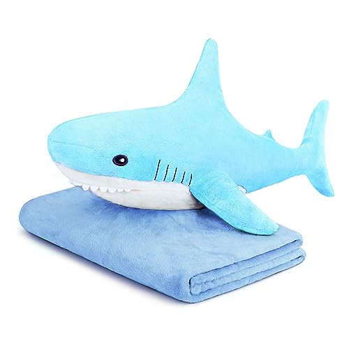 Sky Blue+blanket