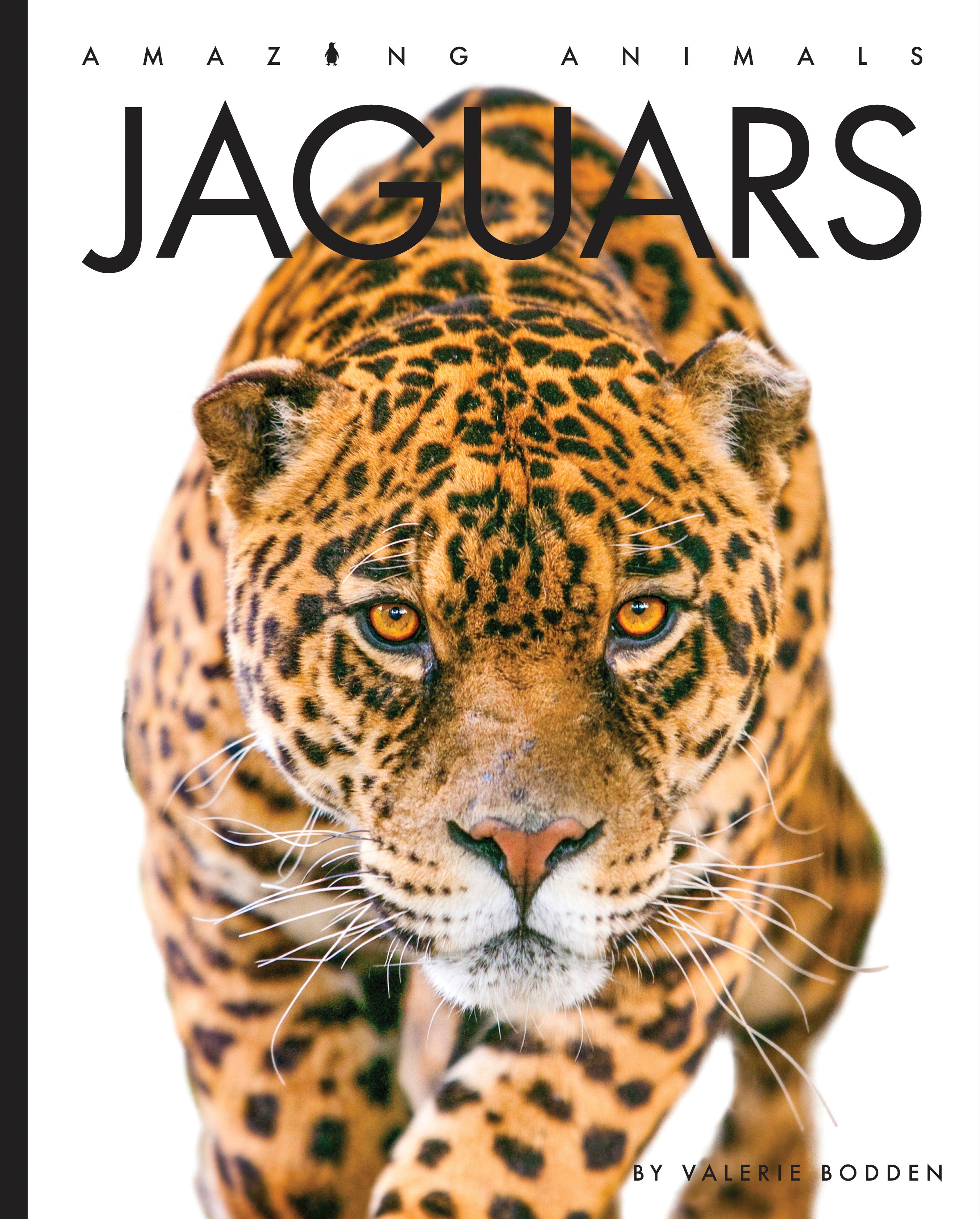 Jaguars Book - 9781640265455 | Wildlife & Nature Guide for Animal Lovers & Students