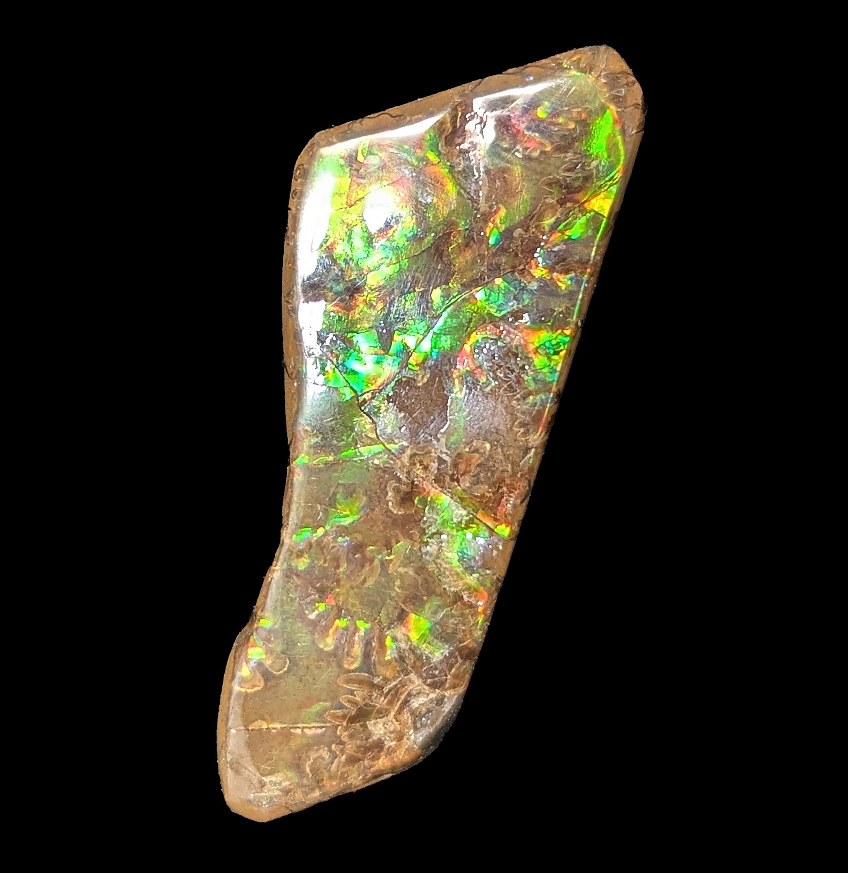 Natural Ammolite Gemstone Fragment - Rare Iridescent Fossil Shell Jewelry Making Supply for Necklaces, Rings & DIY Crafts