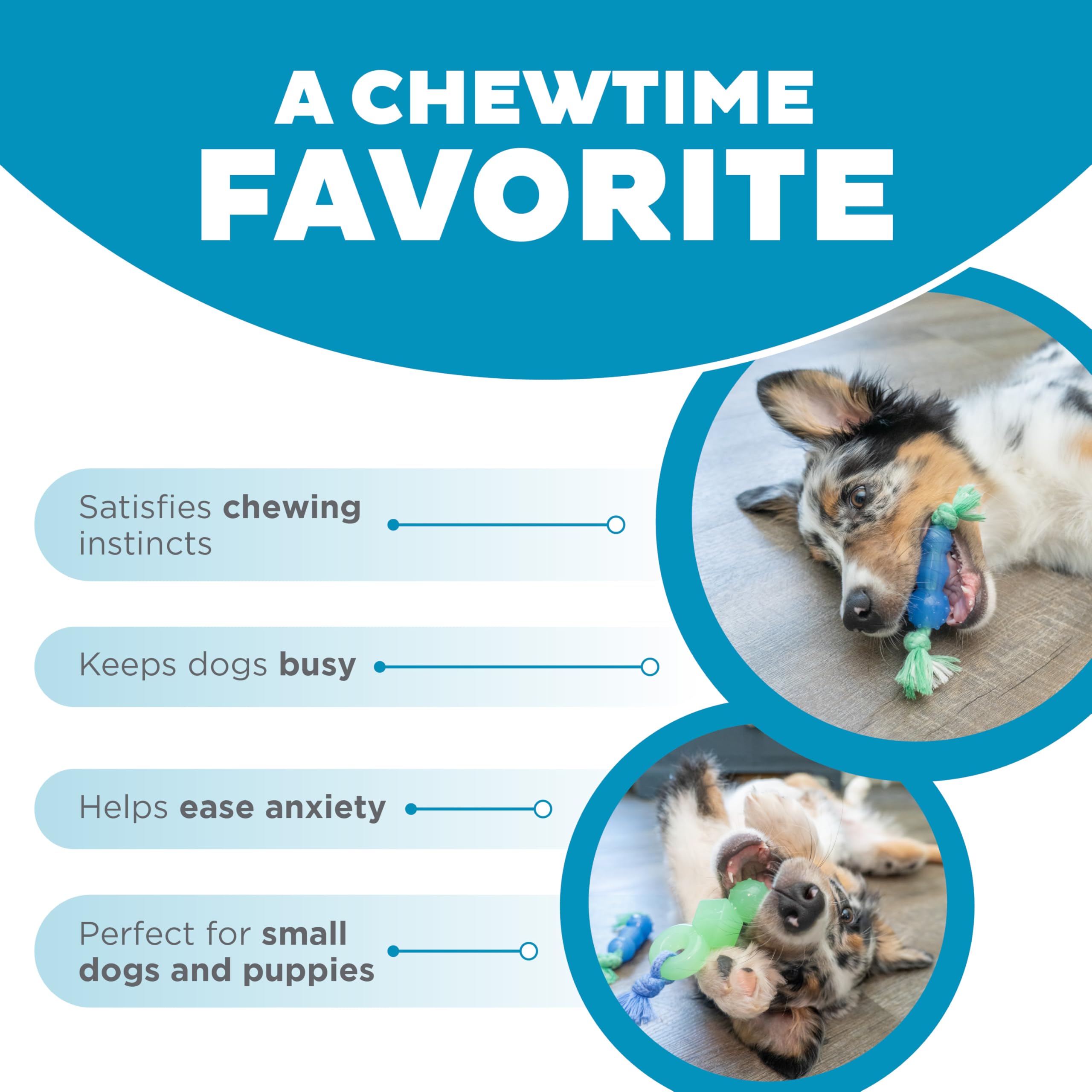 Outward Hound Mini Dentachew Dental Dog Chew Toy for Small Dogs & Puppies - 3 Pack | Promotes Oral Health & Clean Teeth - Perfect for Teething, Training, and Playtime at Home or Outdoors