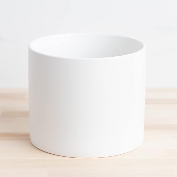 White Curved Bottom
