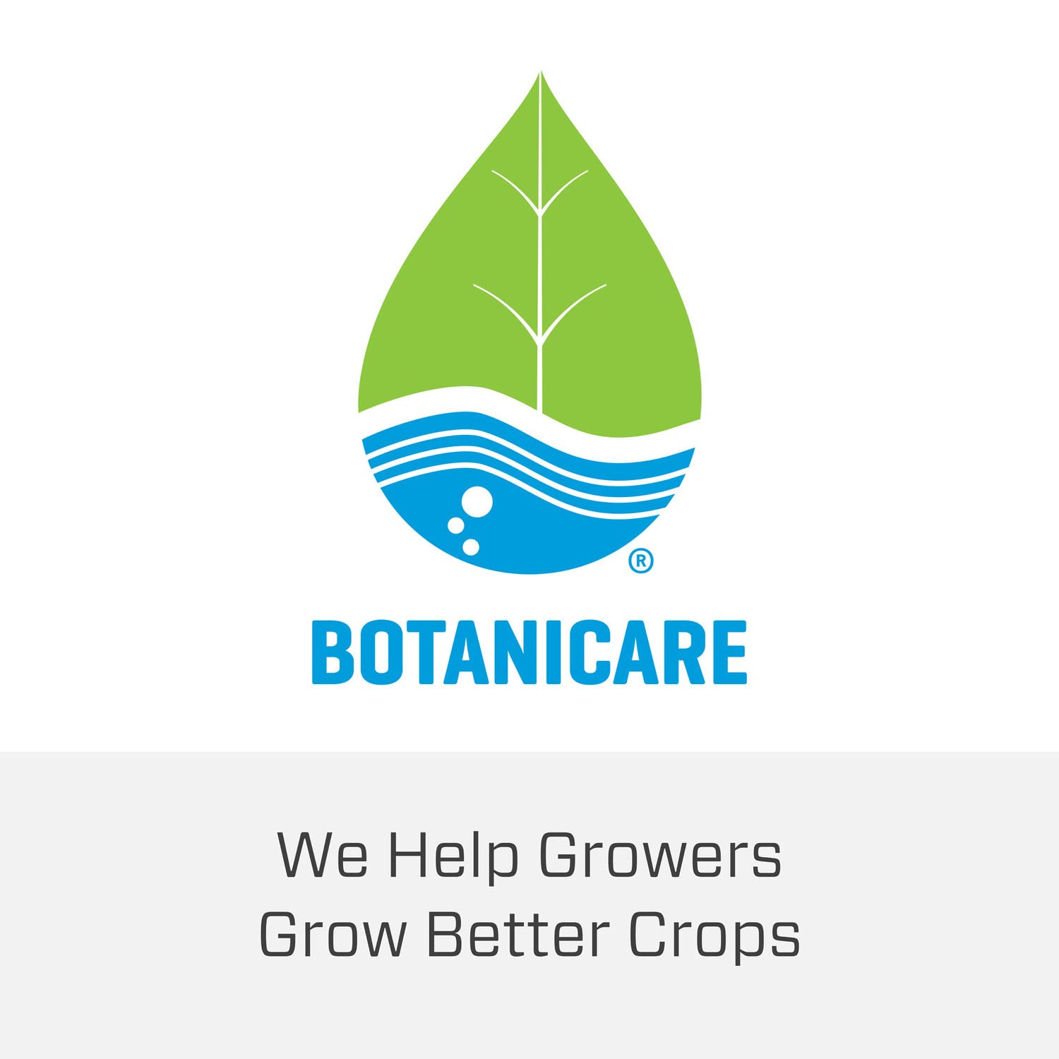 Botanicare Cal-Mag Plus Plant Supplement - Calcium, Magnesium & Iron for Healthy Plants | Corrects Nutrient Deficiencies | Water-Soluble or Foliar Spray | 2-0-0 NPK Formula | 5 Gallon | Ideal for Hydroponics, Indoor Gardening & Greenhouse Use