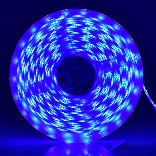 Blue (Only Strip)