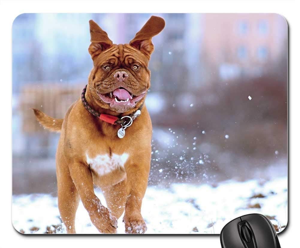 Premium Gaming Mouse Pad with Non-Slip Base - Snow Dog de Bordeaux Mastiff Winter Puppy Design - Perfect for PC, Laptop & Office Workstations
