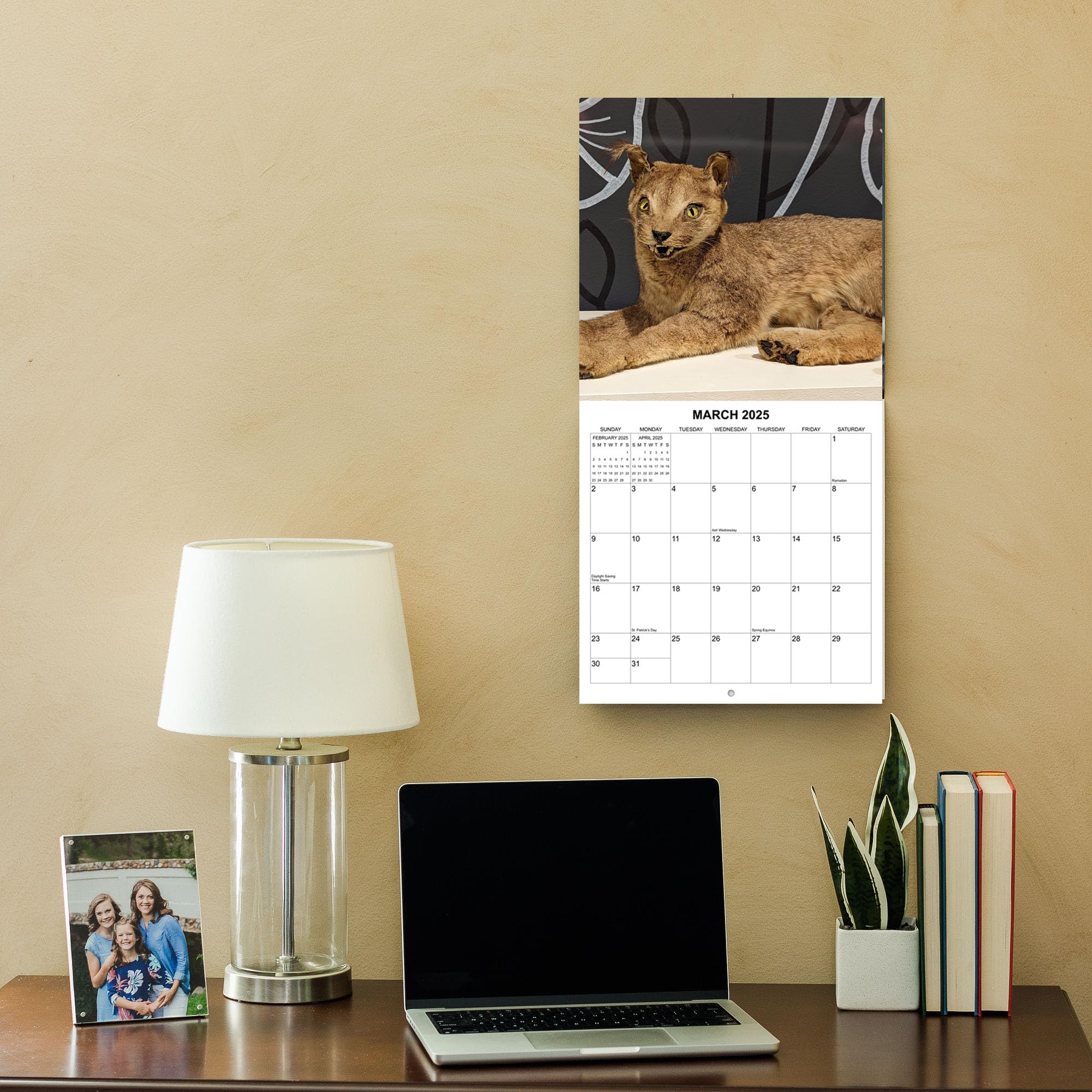 2025 Taxidermy Fails Wall Calendar - 12