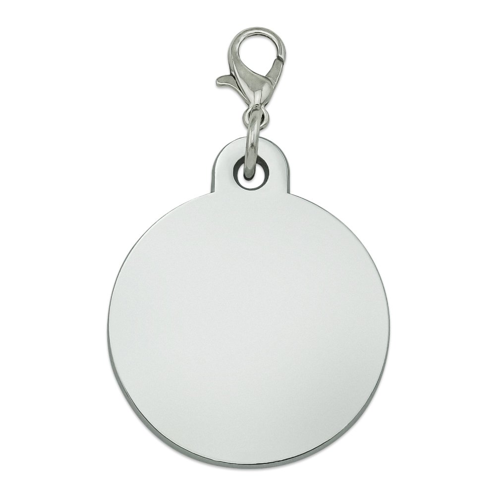 Trump vs Bernie Metal Pet ID Tag - Fun Game Design for Dogs & Cats