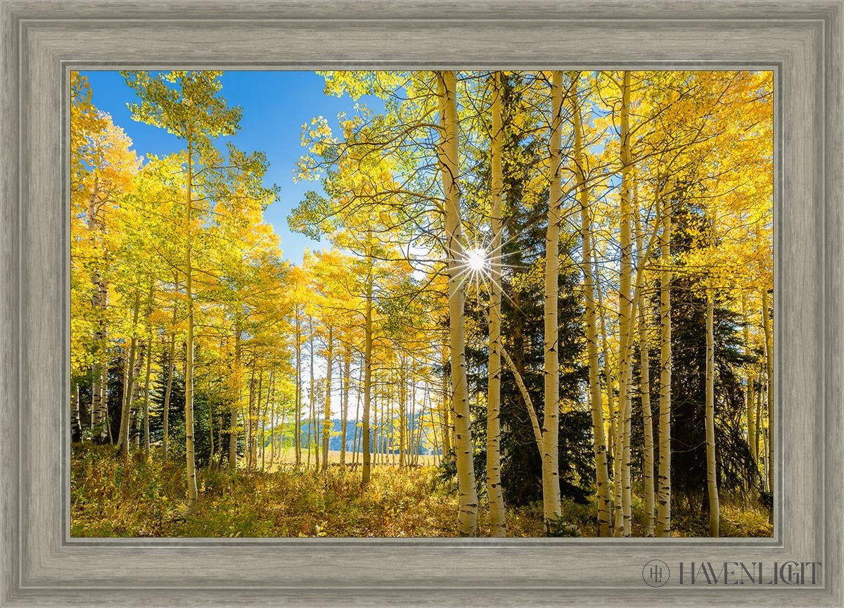 Autumn in the Rocky Mountains - Stunning Fall Foliage at Wasatch National Forest Utah | Perfect for Hiking, Photography & Nature Exploration