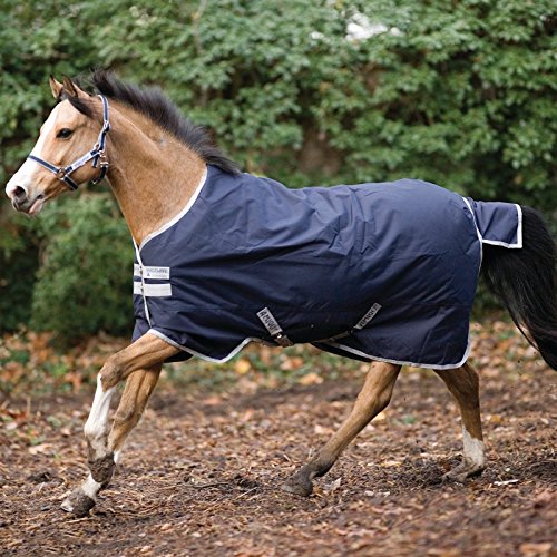 Horseware Amigo Bravo Turnout Blanket 250g - Lightweight Waterproof Horse Blanket for All-Weather Riding & Stable Use