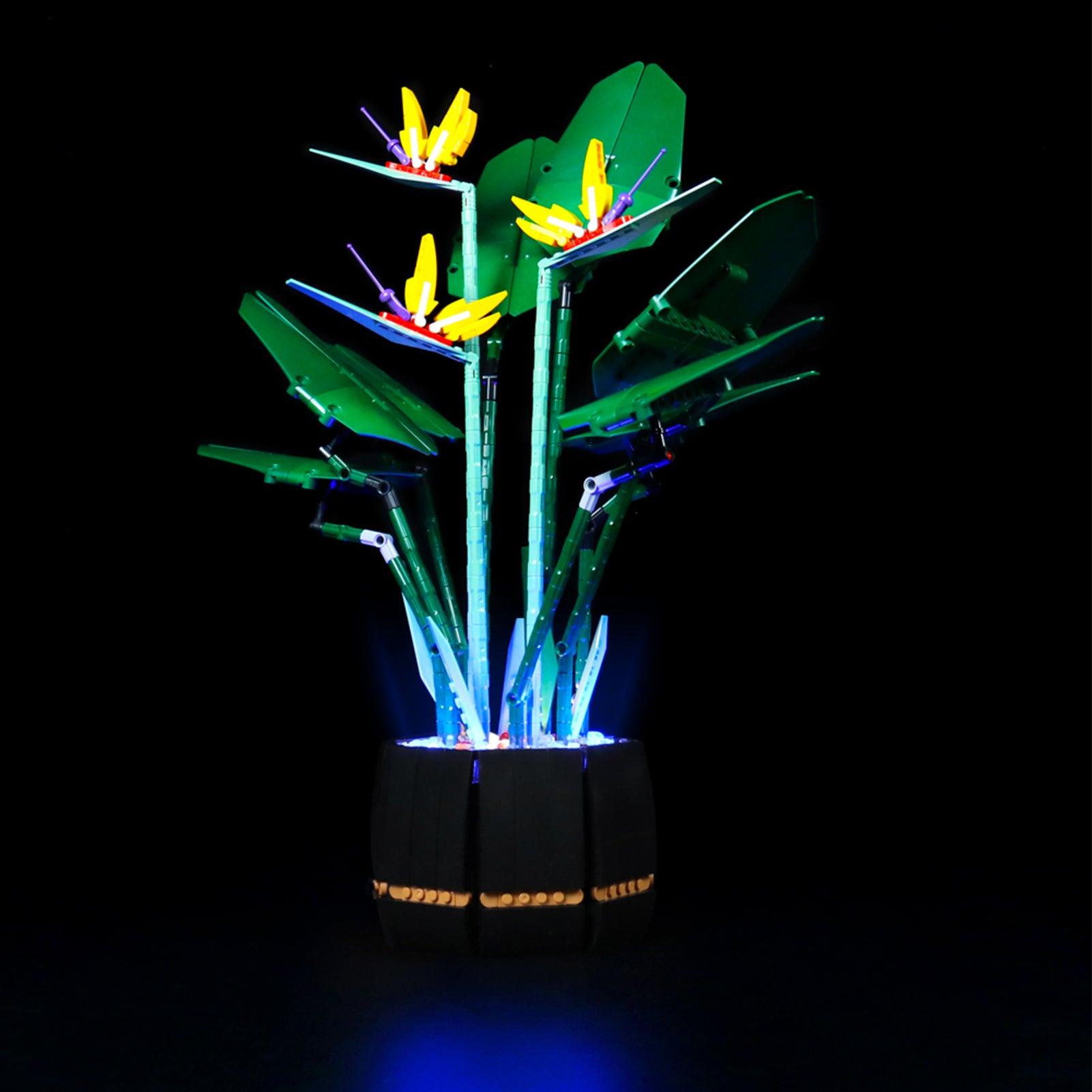 Lego Botanical Bird of Paradise 10289 Light Kit - DIY Lighting Set for Lego Flowers - Perfect for Home Decor, Gift Ideas & Display Enhancement