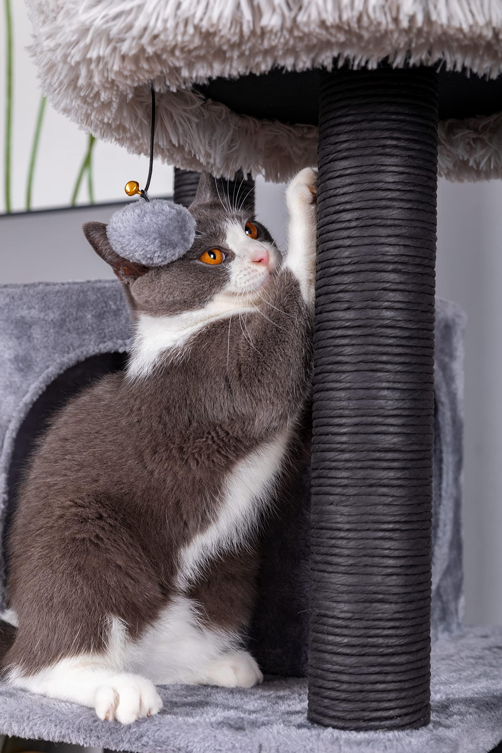 Catry Babylon Cat Tree - Multi-Level Cat Tower with Hammock, Scratching Post & Toys - Easy Assembly Sturdy Cat Furniture for Indoor Cats (Grey) - Perfect for Play, Rest & Scratching in Living Rooms & Bedrooms