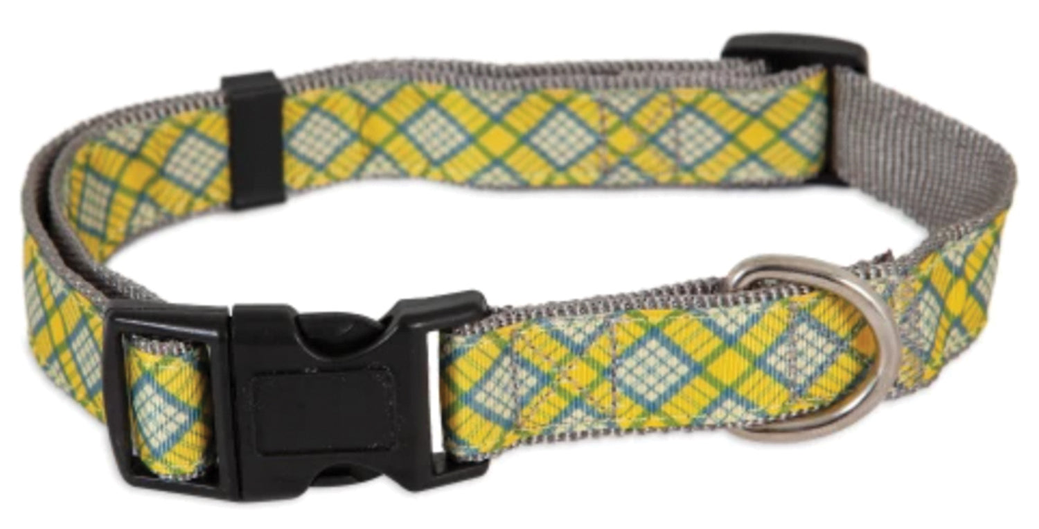 Aspen Pet Reflective Dog Collar - 1