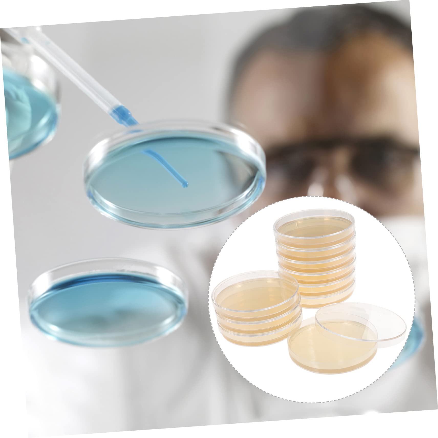 10pcs Nutrient Agar Petri Dishes - Borosilicate Glass Lab Plates for Microbiology Experiments | Perfect for Bacterial Cultures, Science Classrooms & DIY Biology Projects