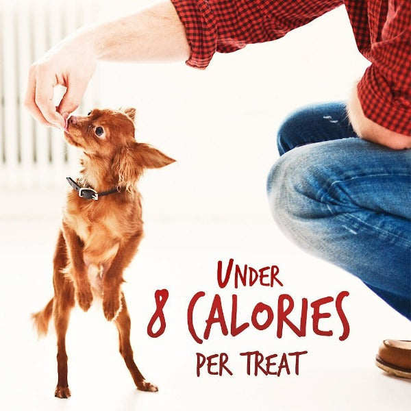 Fruitables Baked Crispy Bacon & Apple Dog Treats - Healthy Natural Snacks for Small & Large Dogs - Perfect for Training Rewards & Daily Treats