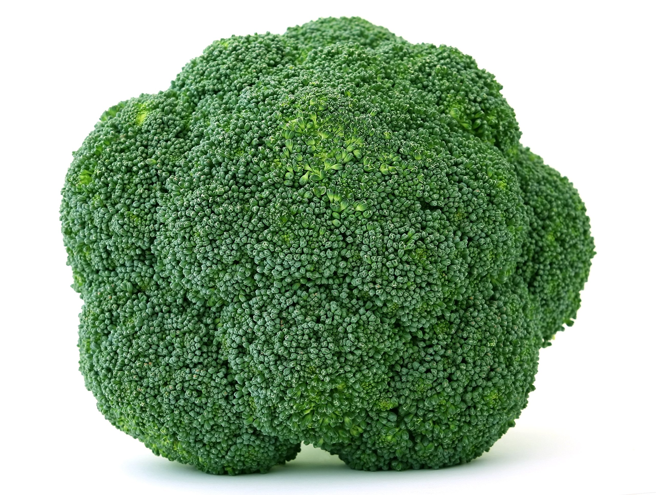 Organic Broccoli Seeds Bulk 5 LB - Non-GMO, Heirloom, High Germination Rate - Perfect for Home Gardening, Farming, and Healthy Eating