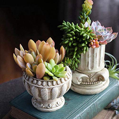 Nicole European Concrete Planter Molds - Roman Column Design Vase Molds for Succulent Plants | DIY Garden Decor, Home & Office Decoration
