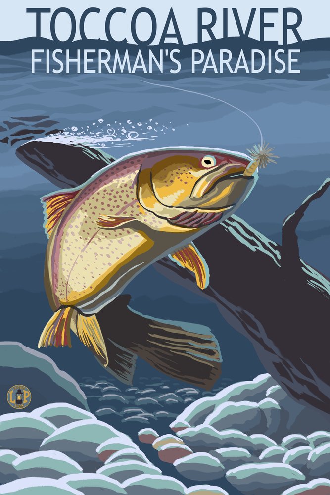 Toccoa River Trout Underwater - 16x24 Gallery Quality Metal Wall Art, Aluminum Decor for Home, Office & Cabin