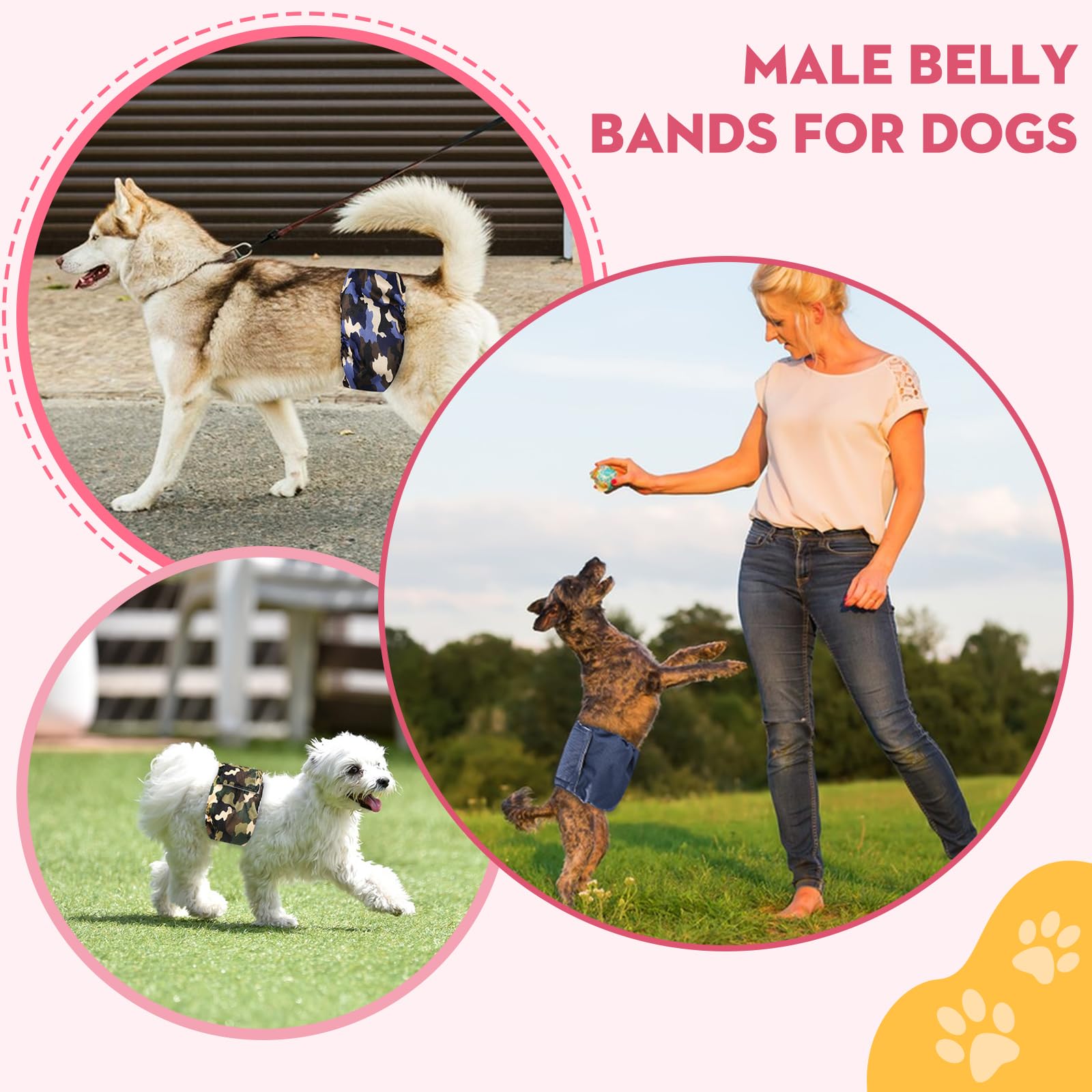 XPCARE Washable Male Dog Belly Bands (5 Pack) - Reusable Dog Diapers for Small Male Dogs, Leak-Proof Pet Belly Wrap for House Training & Incontinence Protection - Perfect for Puppies, Seniors & Travel Use