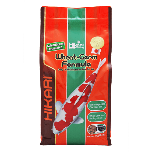 Premium Hikari Koi Wheat Germ Floating Fish Food Pellets - High Protein Diet for Healthy Koi & Goldfish - Ideal for Outdoor Ponds & Water Gardens