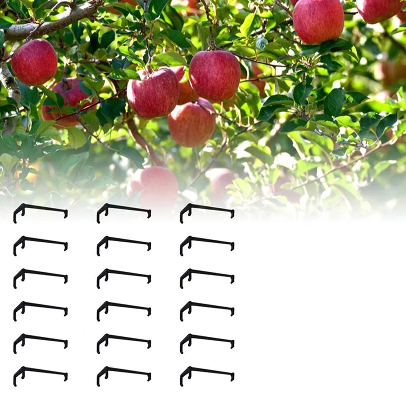 10Pcs Fruit Tree Branch Holders - Heavy Duty Tree Branch Spreader Support Frame for Strong Crotch Angles - Perfect for Apple, Peach & Cherry Trees - Garden & Orchard Use