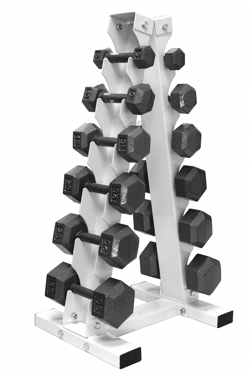 Troy Barbell Vertical Dumbbell Rack GADR 6 - Heavy Duty Dumbbell Storage Stand for Home Gym, Garage & Fitness Studio - Organize Weights Up to 100 lbs - Perfect for CrossFit, Weight Training & Strength Workouts