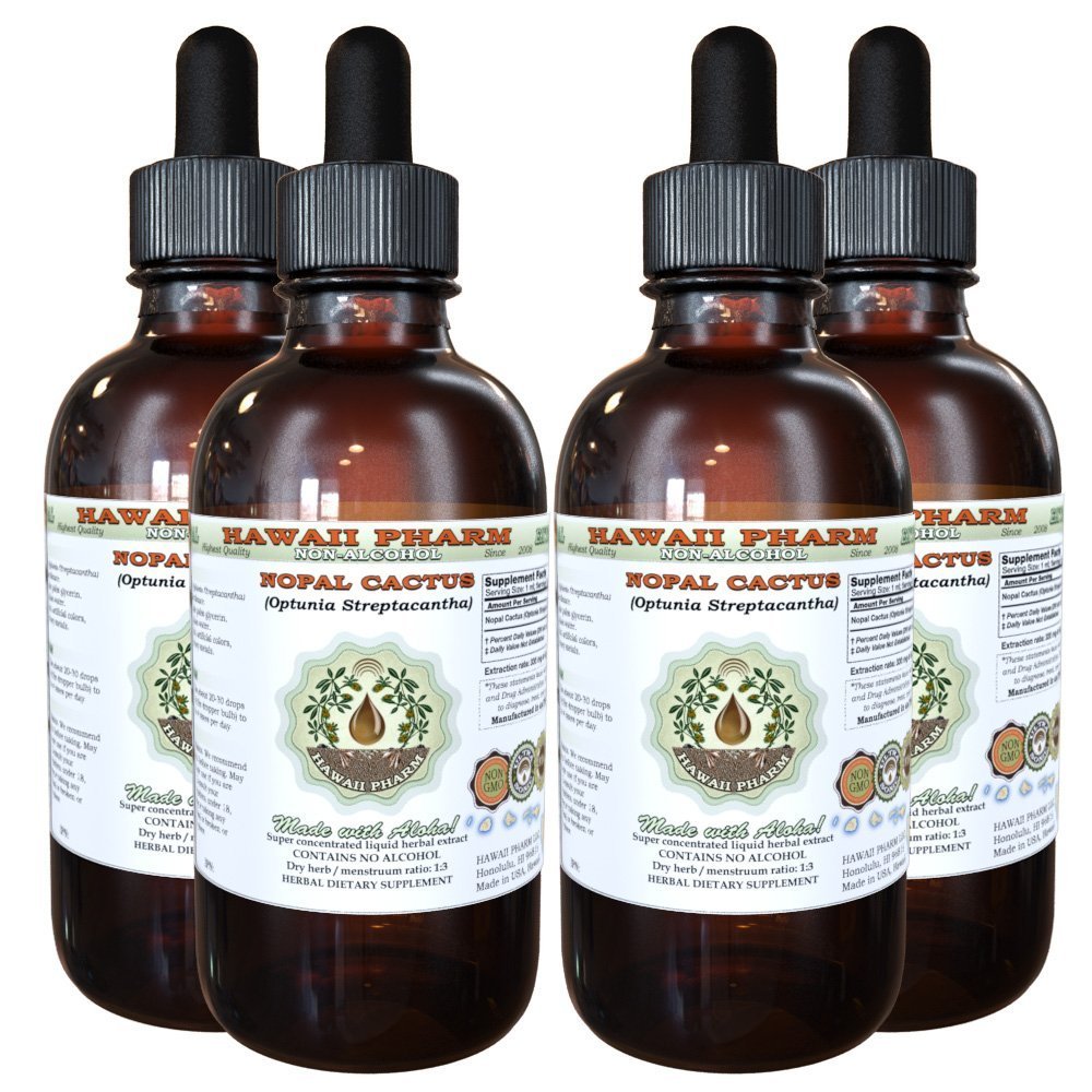 Nopal Cactus Alcohol-Free Liquid Extract (Opuntia Streptacantha) | Natural Herbal Supplement | Glycerite Formula | 4 fl.oz Bottle | Hawaii Pharm USA | Supports Digestive Health & Blood Sugar Balance | Perfect for Daily Wellness & Herbal Remedies