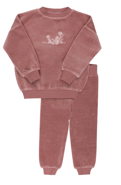 ELY & CO Velour Embroidered Flower Lounge Set for Kids (9 Months to 8 Years) - Soft & Cozy Pajama Outfit for Playtime, Sleepovers & Relaxing at Home