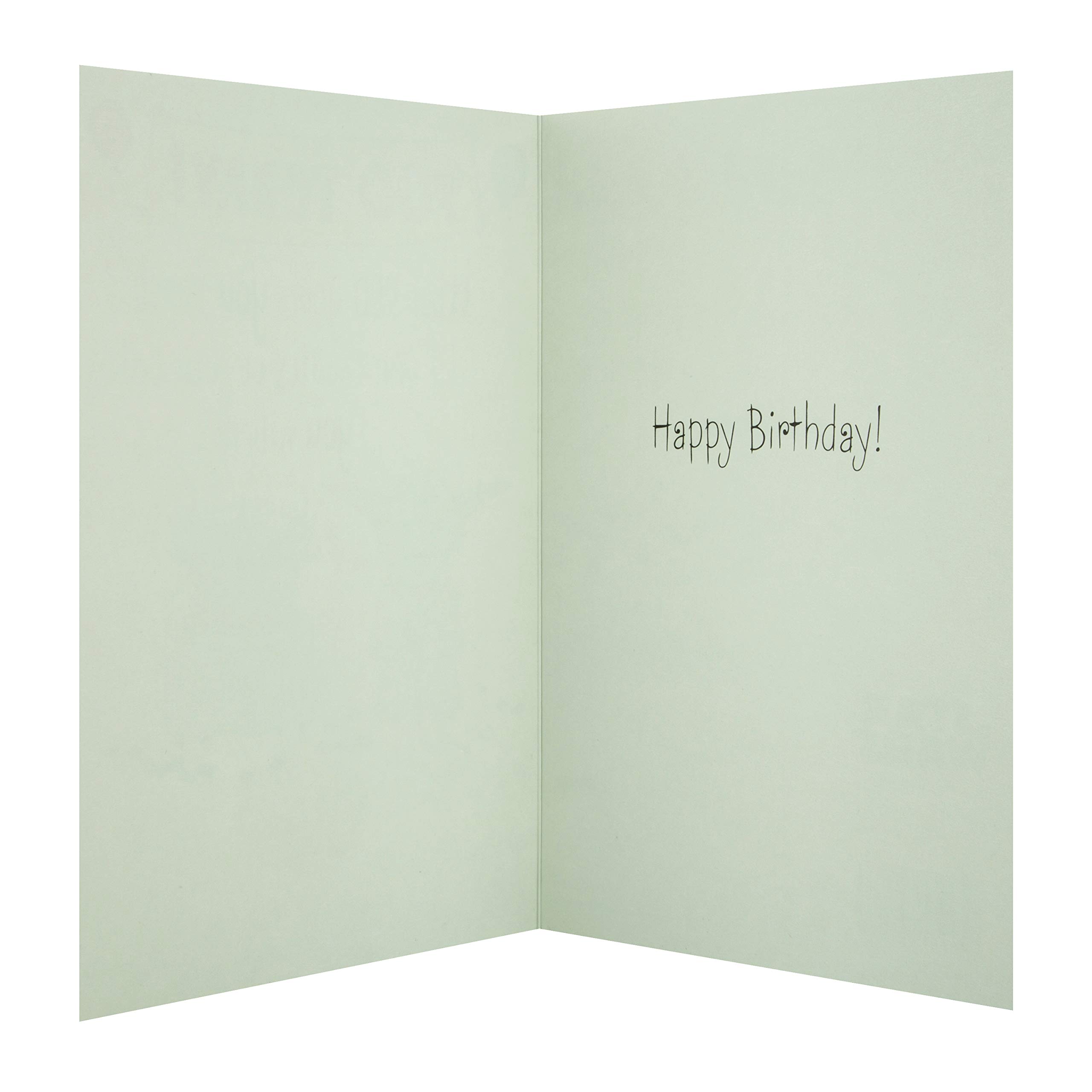 Funny Star Wars Yoda Birthday Card - Hallmark Illustrated Greeting Card for Friends, Family & Coworkers - Perfect for Jedi Fans & Humor Lovers