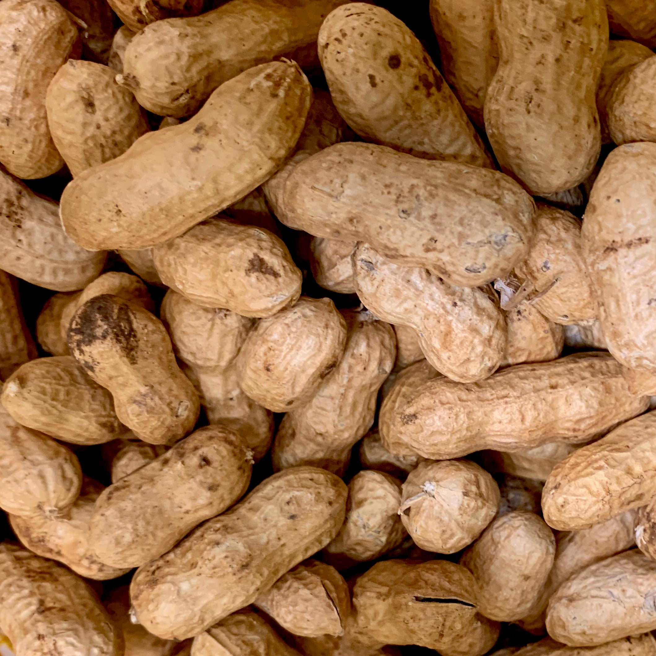 Premium Raw Valencia Peanuts - Non-GMO, Unsalted, No Shells - Perfect for Snacking, Baking, and Homemade Peanut Butter