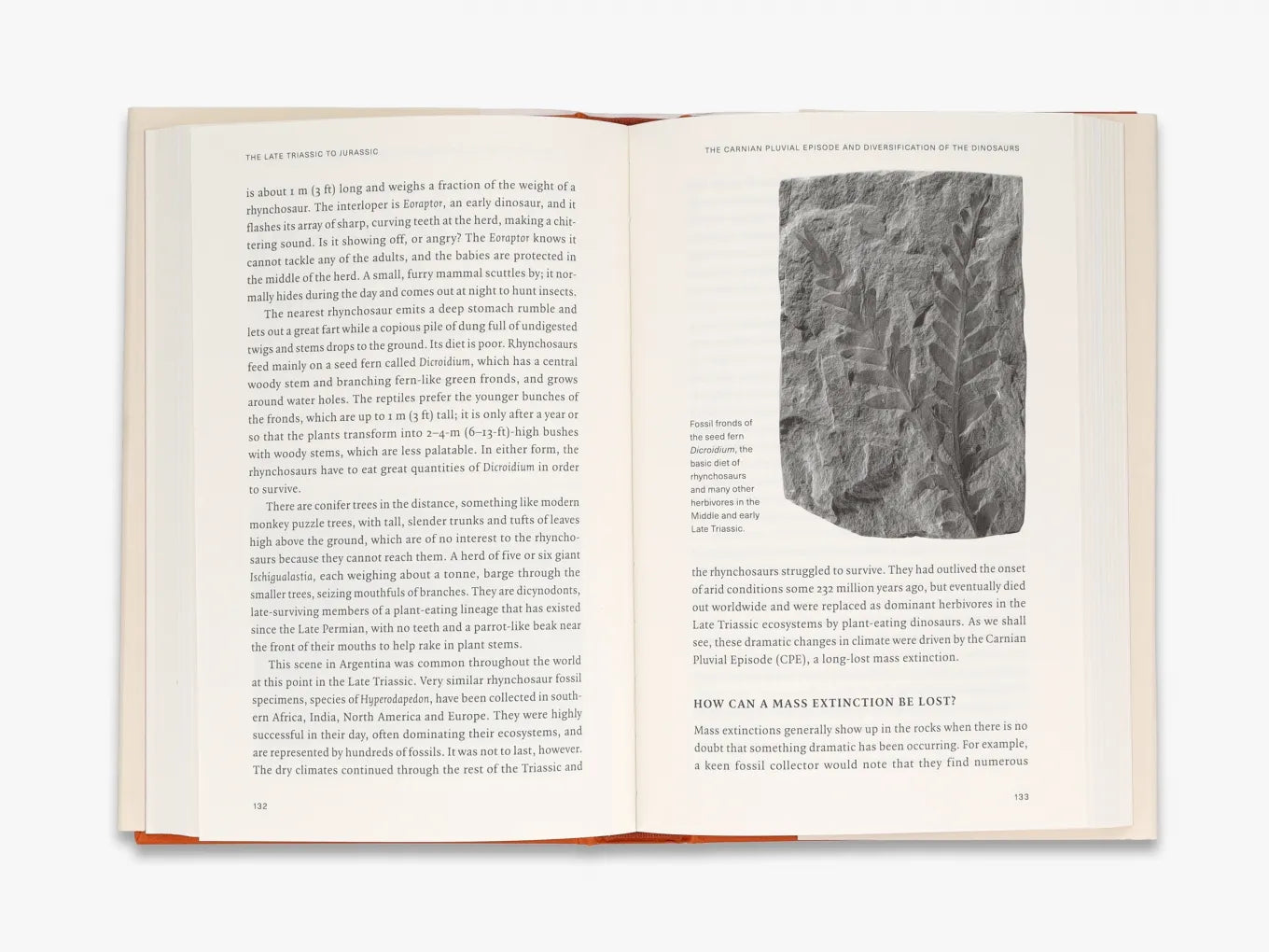 Extinctions - Explore the History of Extinct Species | Educational Books & Resources for Students & Teachers | Perfect for Classrooms, Homeschooling & Science Enthusiasts