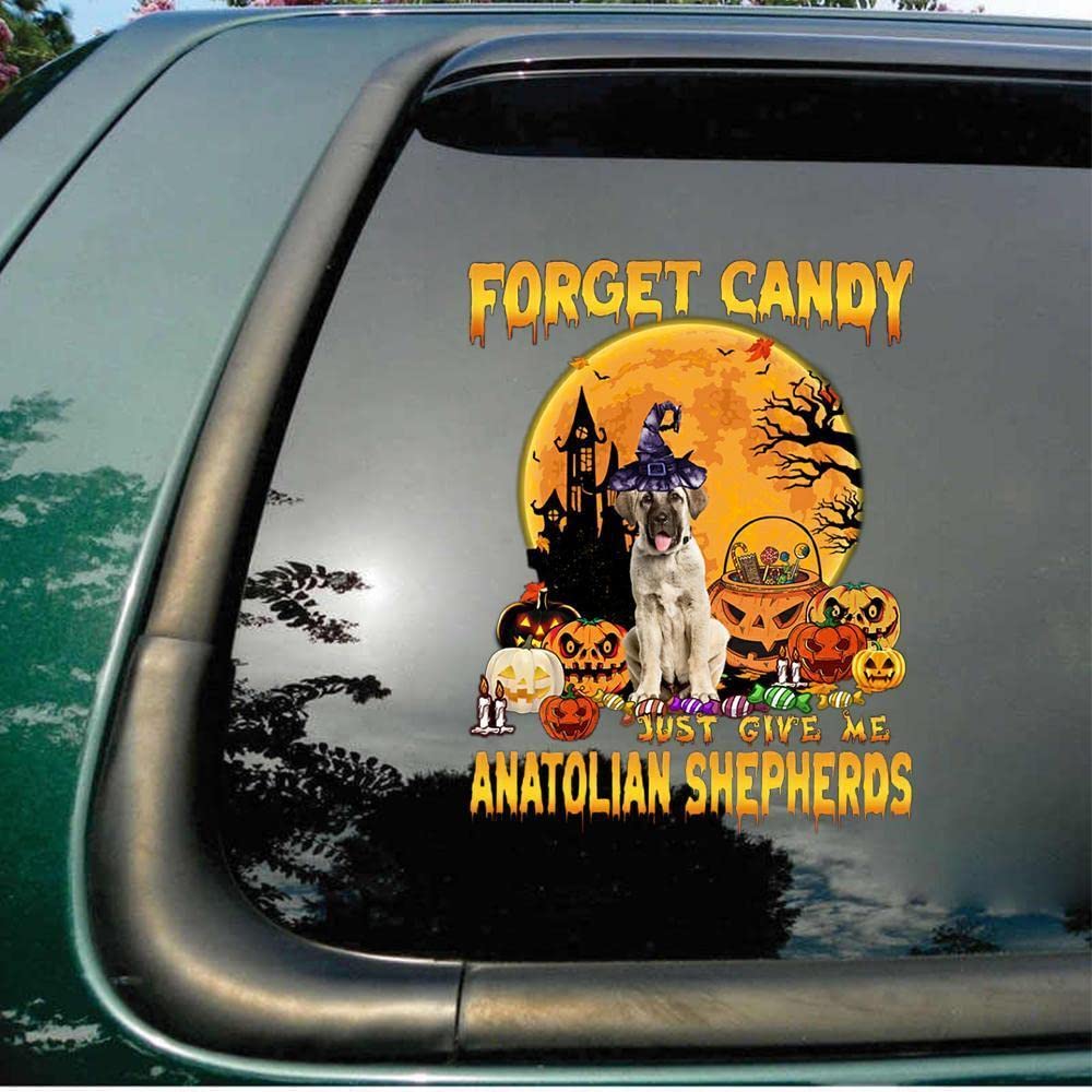 Funny Anatolian Shepherd Dog Halloween Car Decal - Forget Candy Pumpkins, Just Give Me Anatolian Shepherds - Bumper & Window Sticker for Cars, Trucks & SUVs