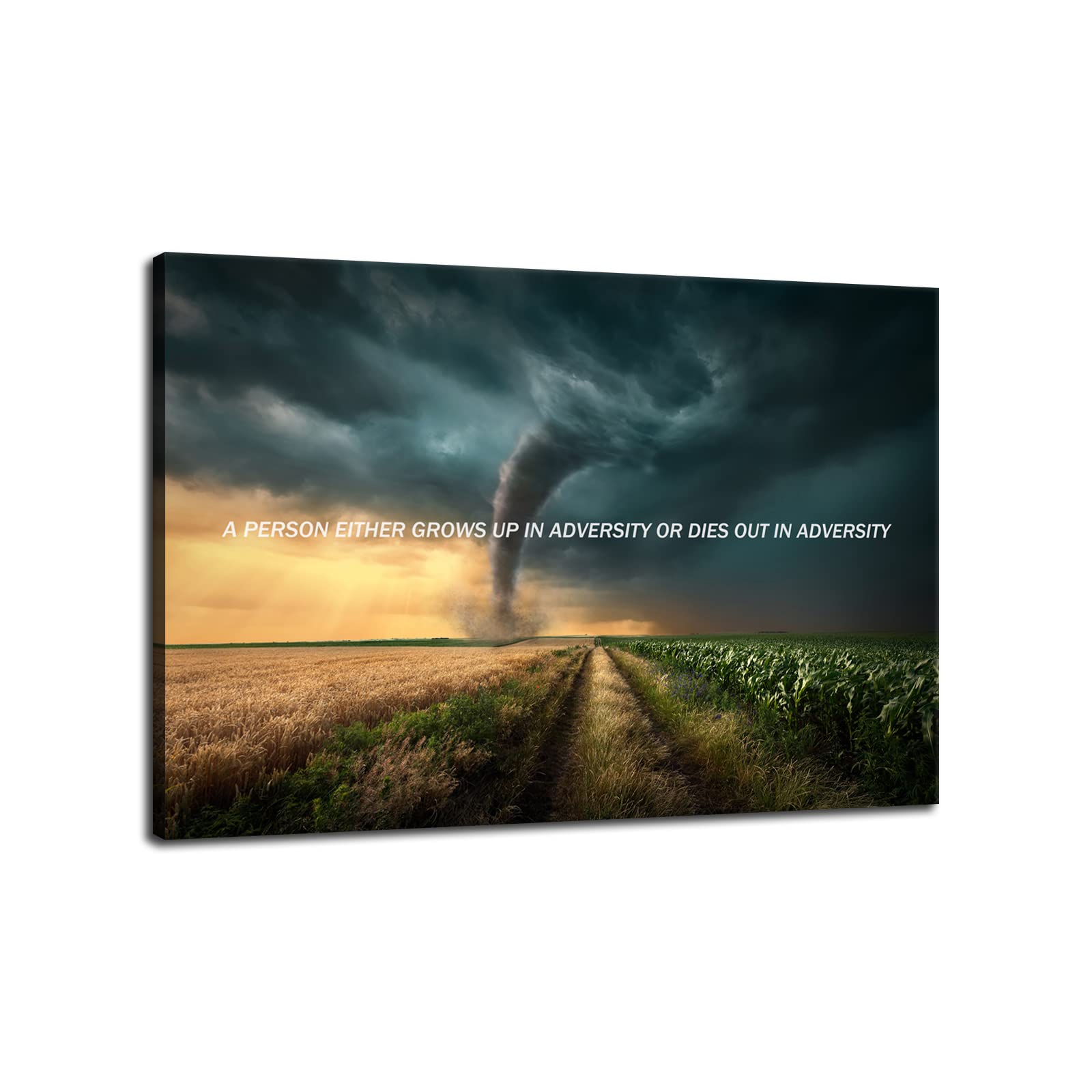 Inspirational Farmland Tornado Canvas Wall Art - Motivational Quote Poster Print for Living Room, Bedroom & Office Decor - Framed Ready to Hang [24x36 Inches] - Perfect for Home, Office & Gift Giving