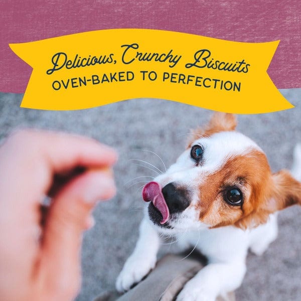 Natural Balance Crunchy Dog Biscuits with Real Venison - Small Breed Recipe, 8oz - Healthy Treats for Training & Rewarding Small Dogs