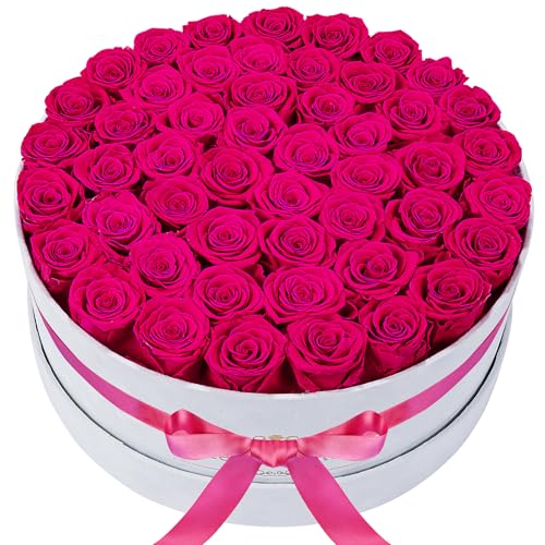Radiant Pink