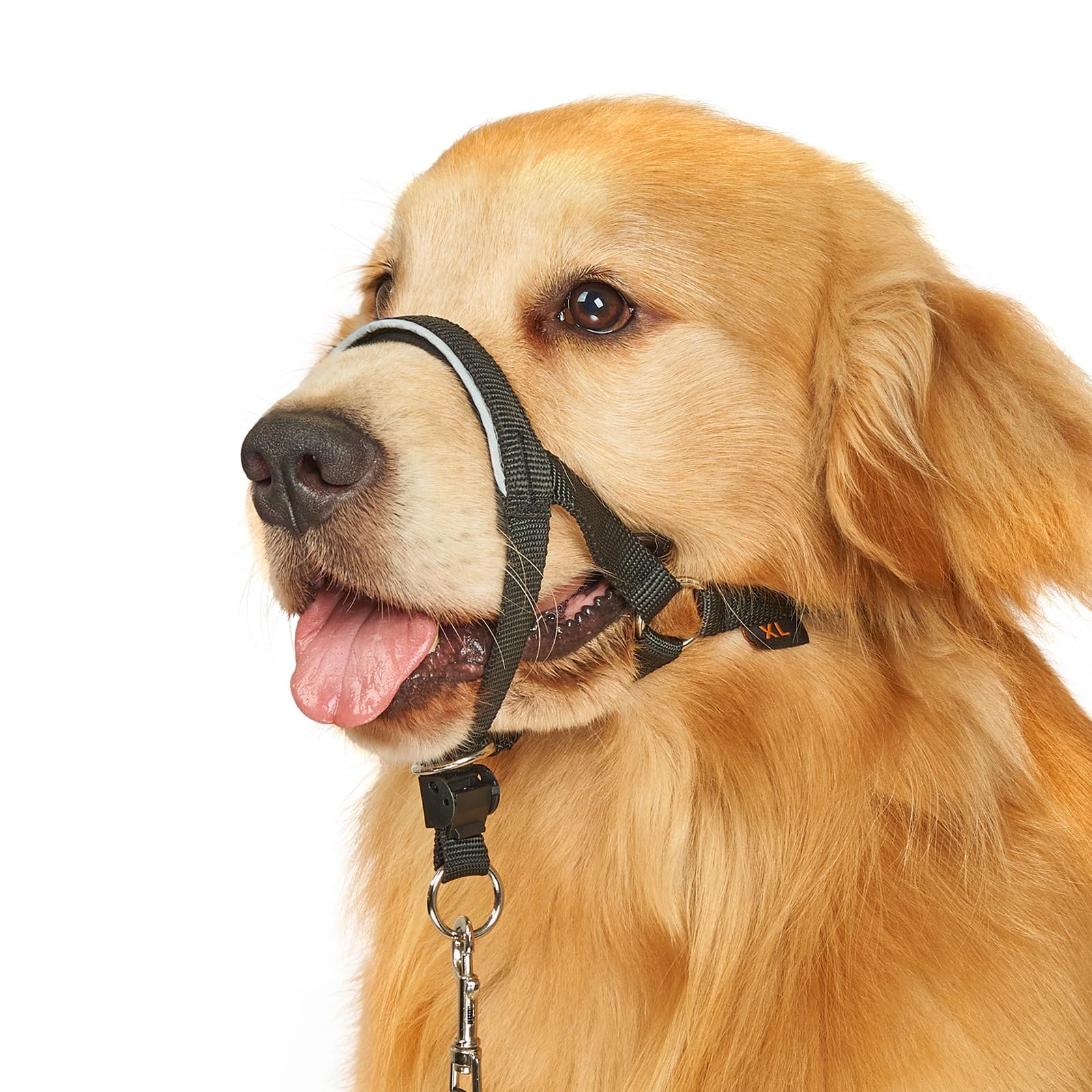 BARKLESS No Pull Dog Head Collar - Adjustable Head Halter for Large, Medium & Small Dogs | Stops Heavy Pulling During Walks & Training | Padded Safety Strap & Muzzle Leash (Black, Size M) | Perfect for Obedience Training, Daily Walks & Aggressive Pullers