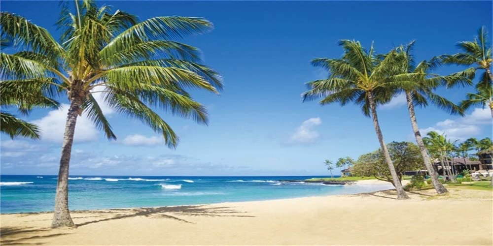 Yeele 20x10ft Tropical Beach Backdrop Photography - Sandy Shore with Palm Trees, Ocean Scenery for Summer Photo Shoots, Holiday Travel & Studio Props | Perfect for Kids, Adults, Photo Booths, and Outdoor Events