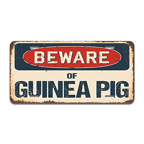 Beware of Guinea Pig