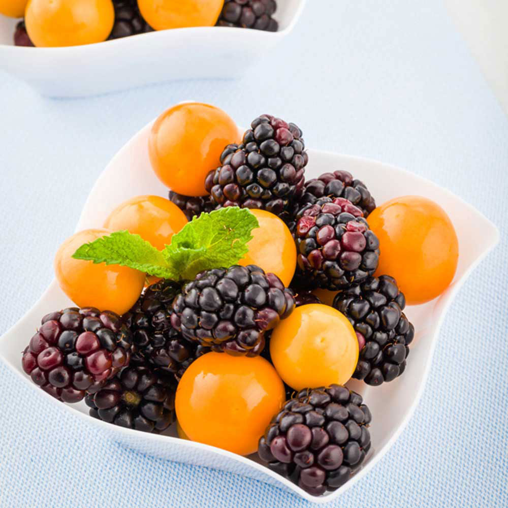 6 oz Square White Plastic Aqua Bowl - 3.25