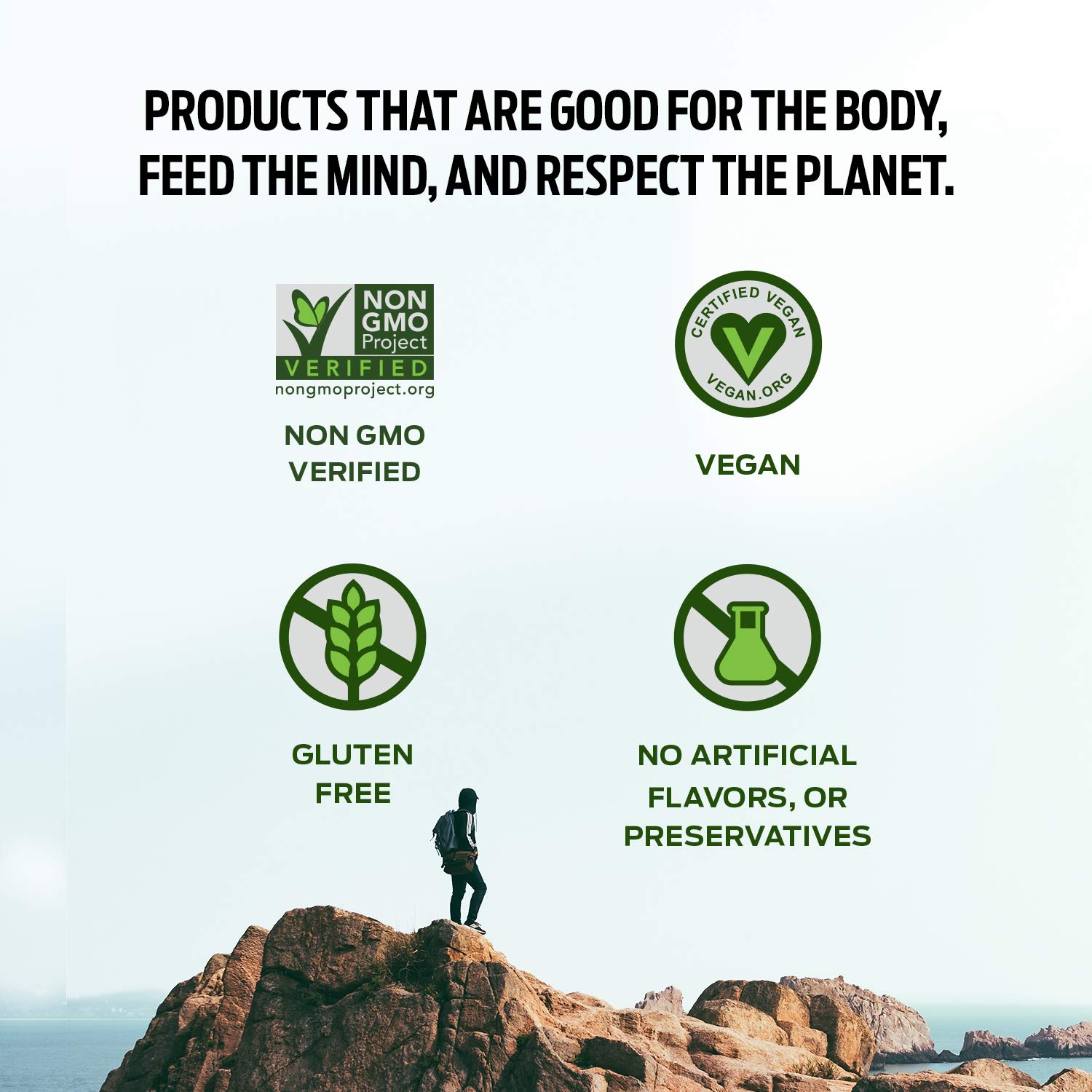 Vega Plant-Based Protein Powder, Dark Chocolate - Vegan, Gluten-Free, Stevia-Free Pea Protein Supplement for Men & Women, 9.6 oz (Packaging May Vary) | Post-Workout Recovery, Smoothie Booster & Healthy Meal Replacement