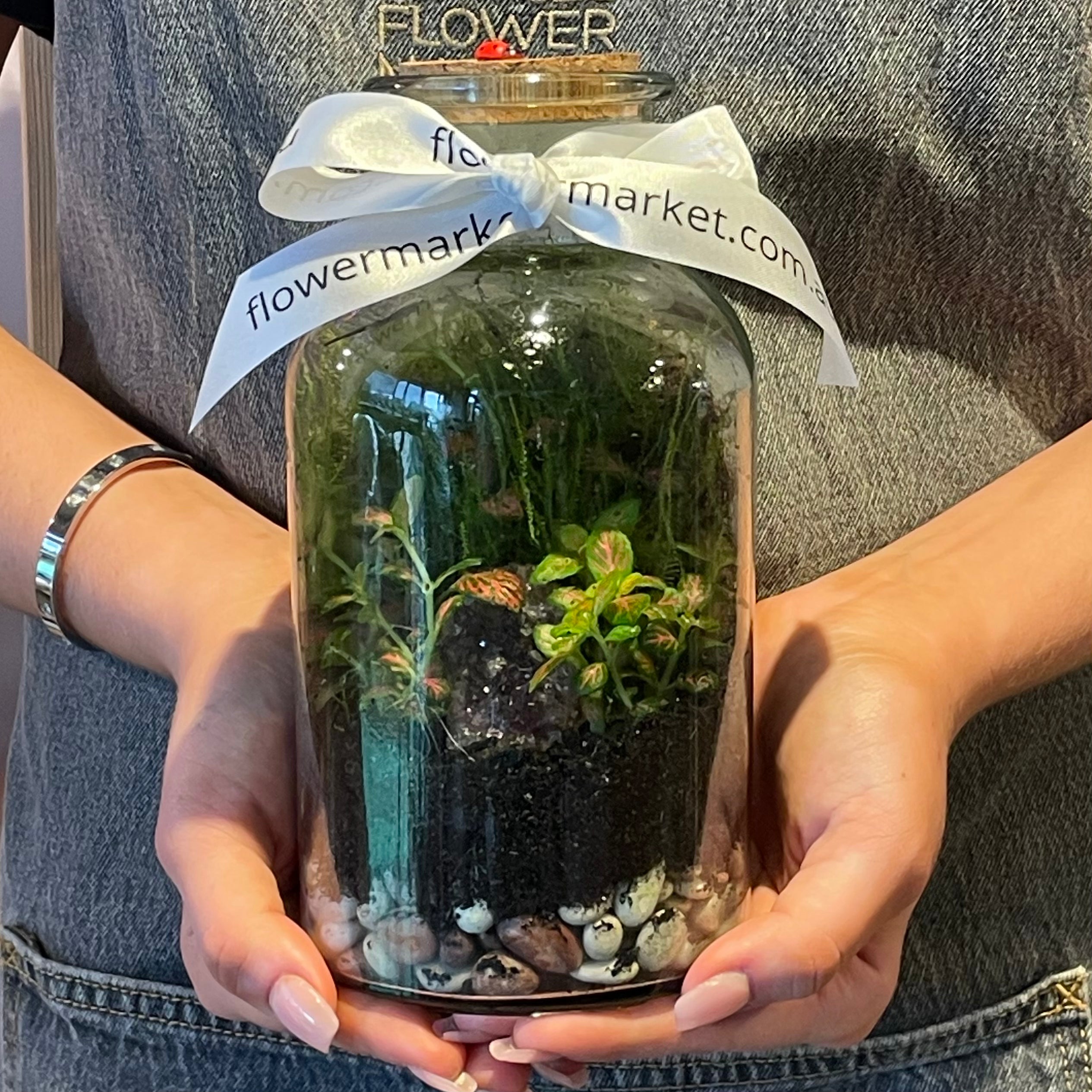 Glass Terrarium in a Bottle - DIY Mini Garden Kit for Home Decor, Office Desk & Gift Ideas | Perfect for Succulents, Air Plants & Fairy Gardens