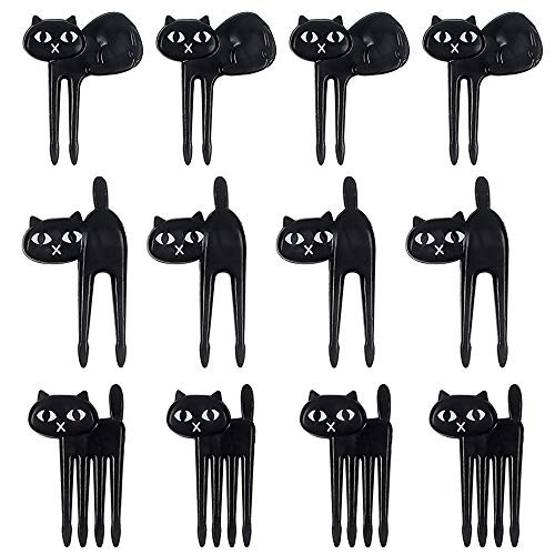 Black Cat