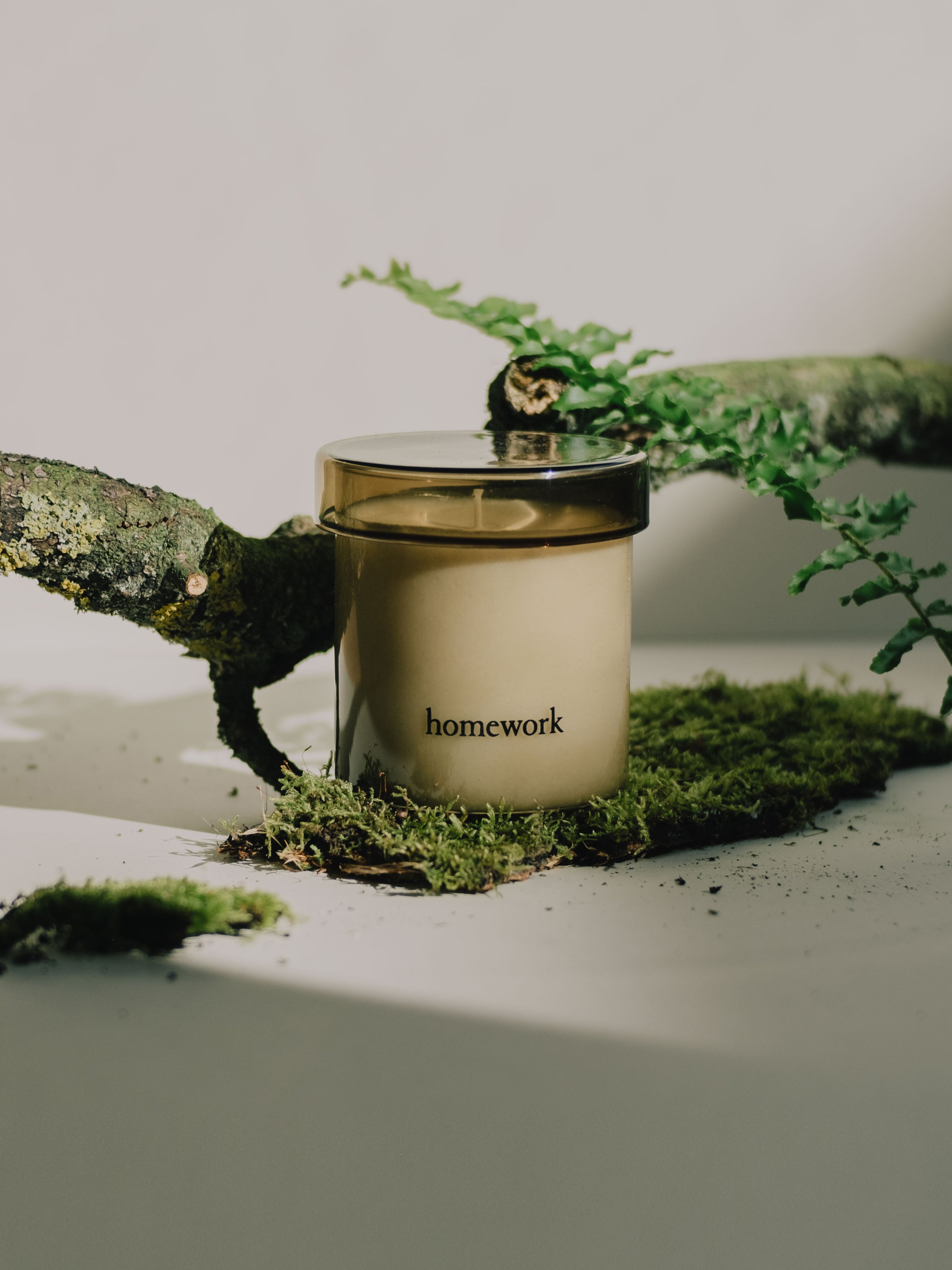 Homework Regular Candle Earth - Natural Soy Wax Scented Candles for Study, Relaxation & Meditation - Perfect for Home Office, Dorm Room & Cozy Evenings